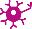 Neuronal Repair
